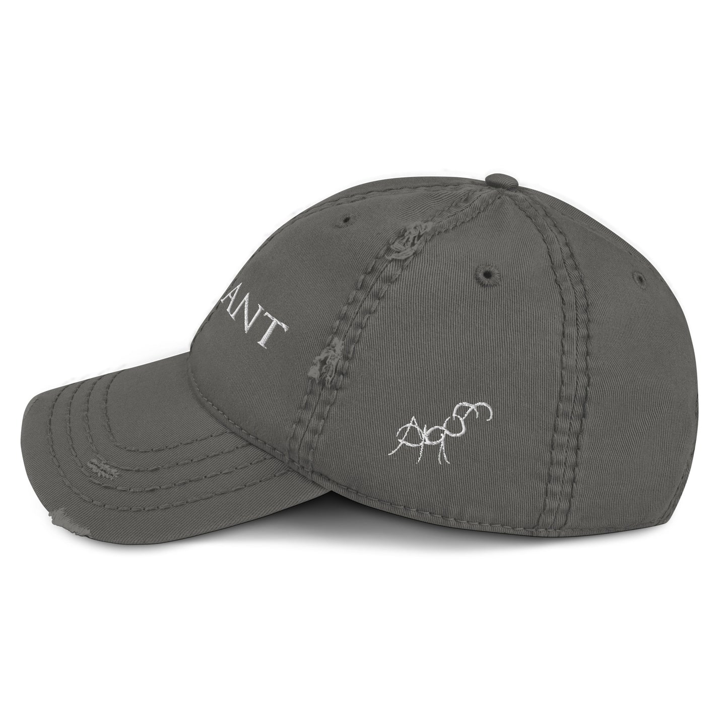 Embroidered Distressed Dad Hat