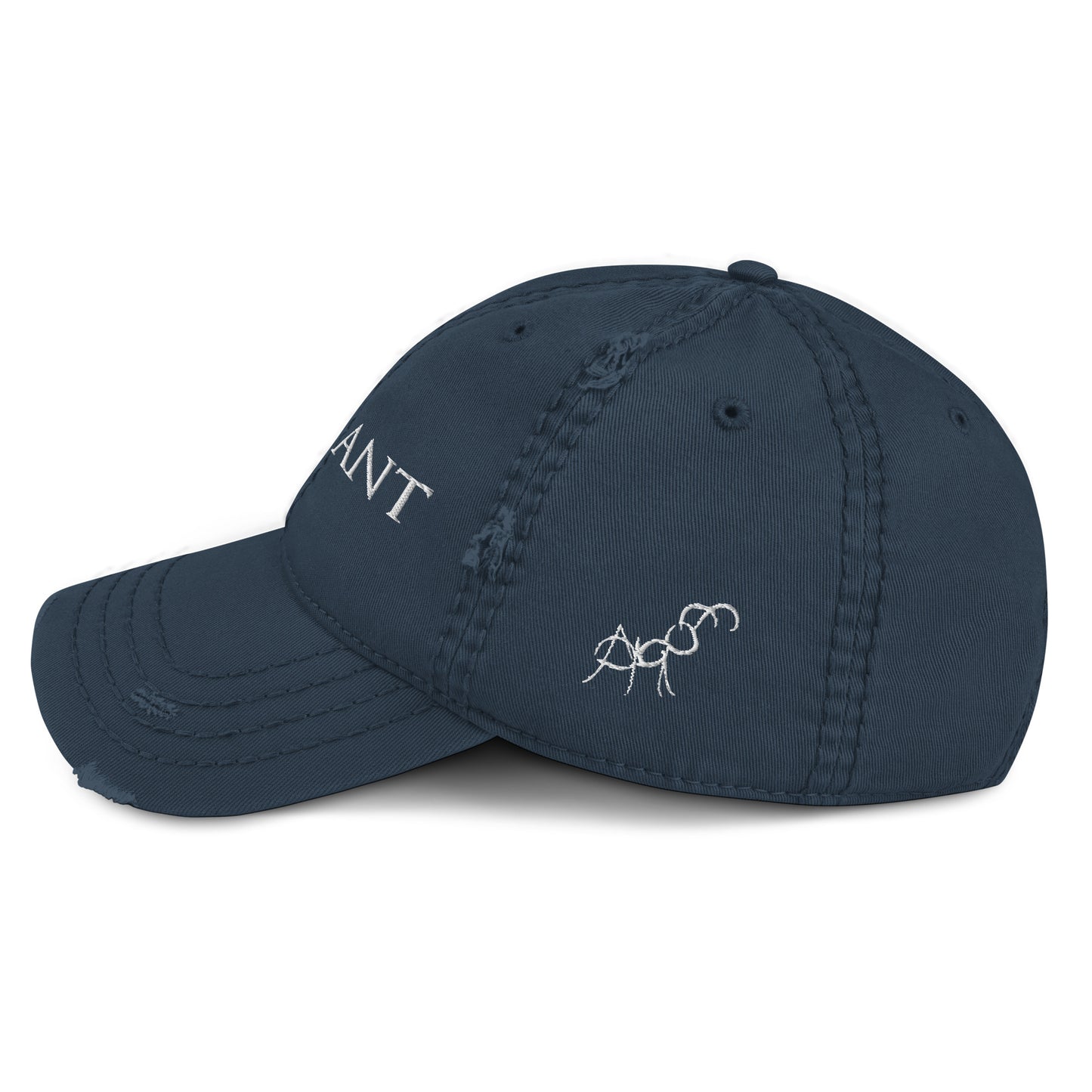 Embroidered Distressed Dad Hat
